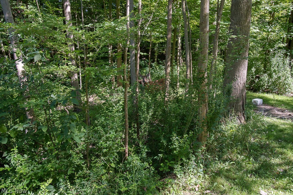 2995 Clark Road Perry, OH 44081 - Photo 17 of 33