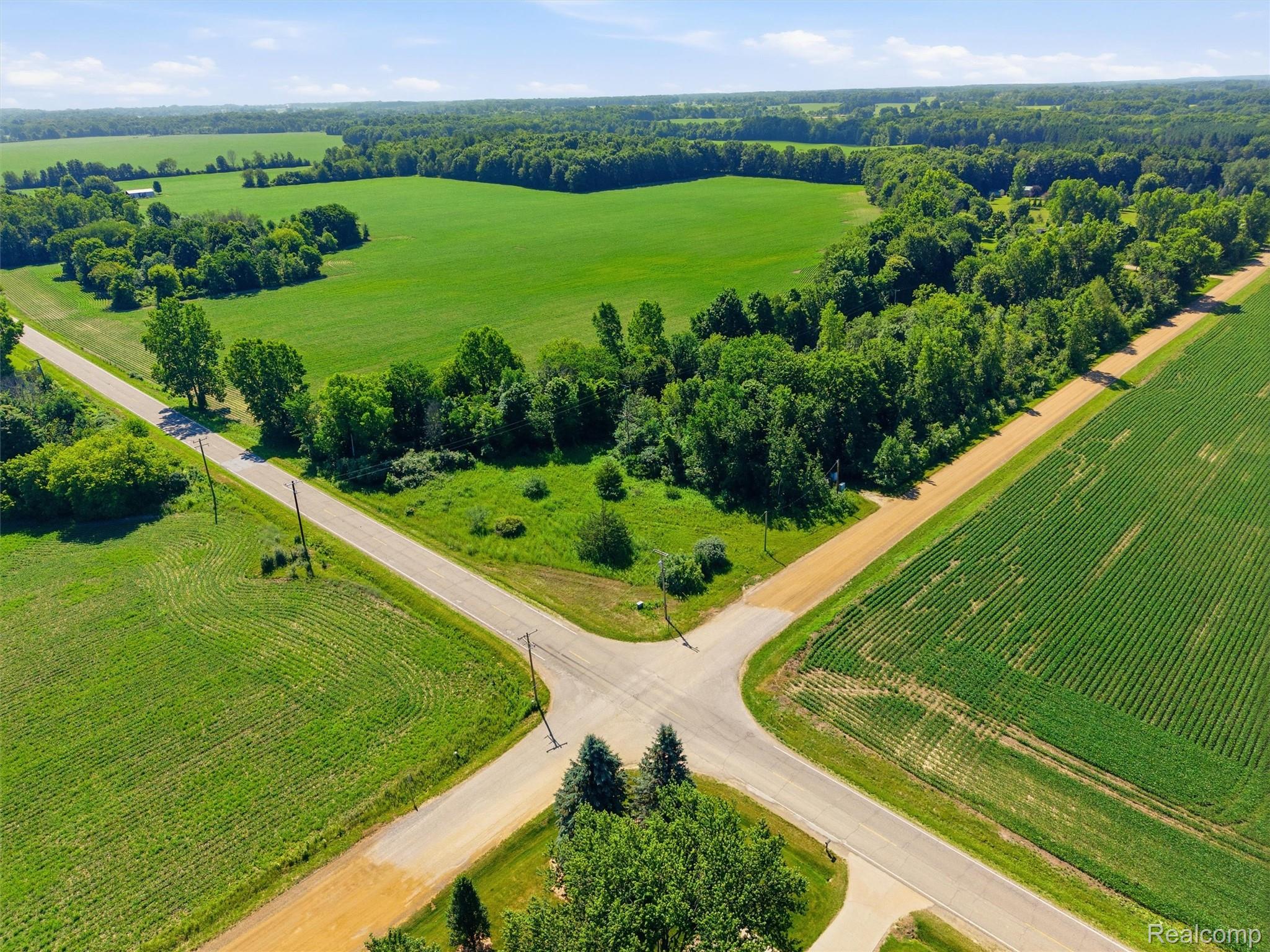 Parcel B-1 Parcel B-1 Mitchell Lake Road Attica, MI 48412 - Photo 8 of 20 09-DJI_20260708105654_0002_D.jpg