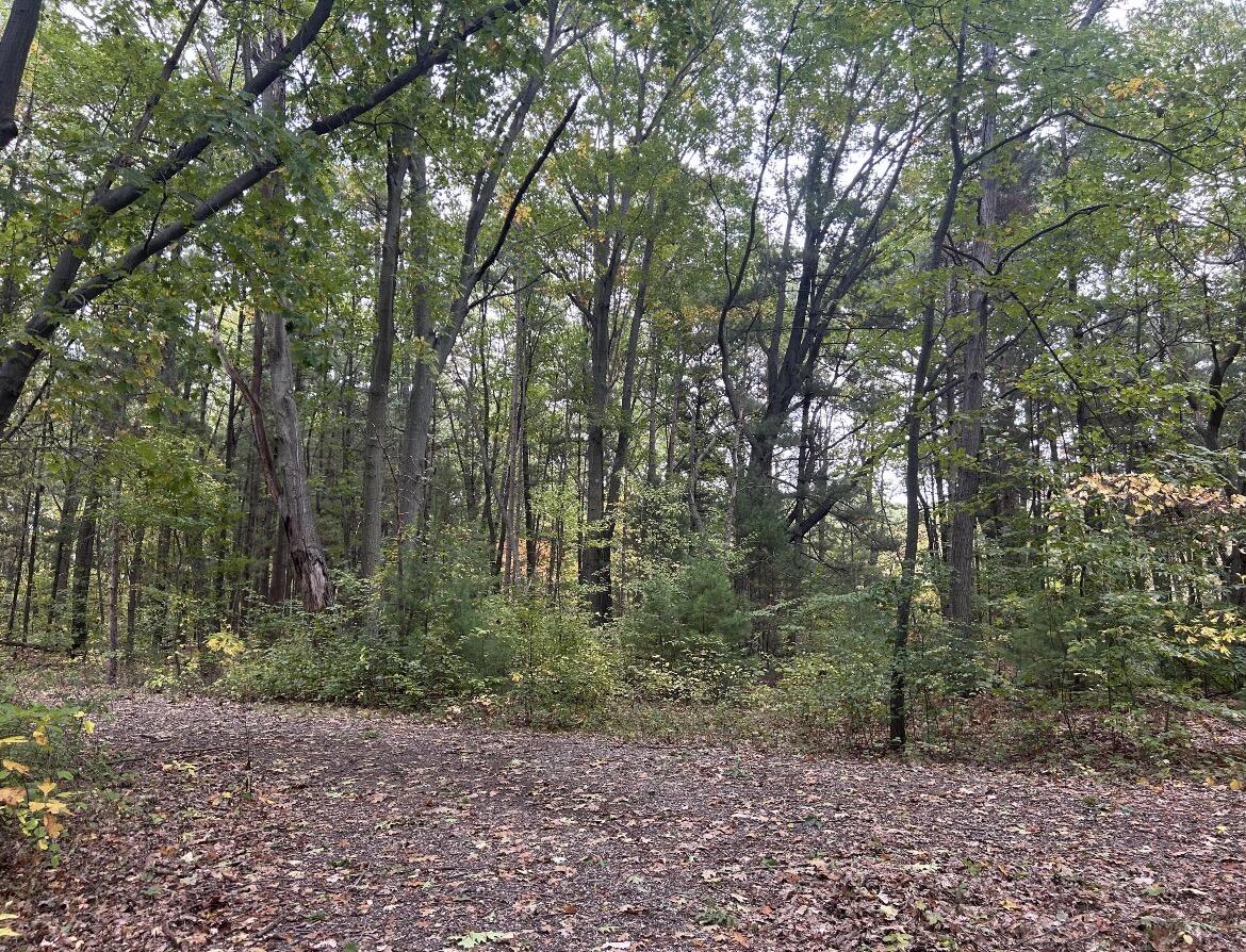 4051 Highview Path Coloma, MI 49038 - Photo 1 of 3 IMG_5549