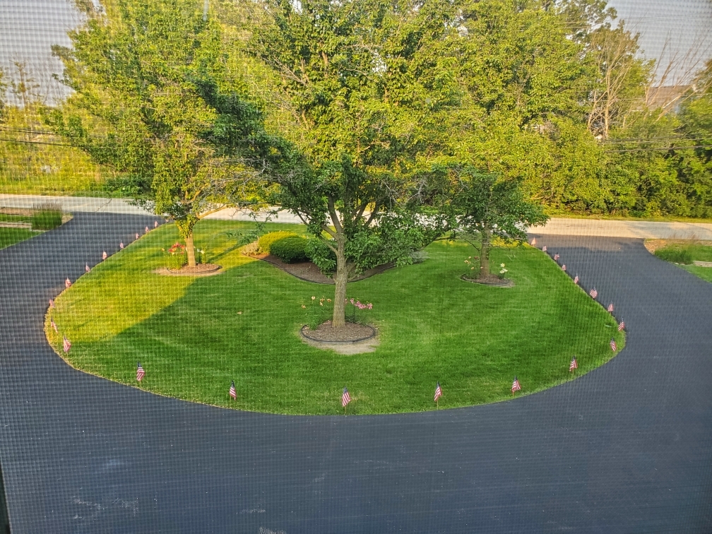 13310 Derby Road Lemont, IL 60439 - Photo 2 of 48 a view of a swimming pool with a yard