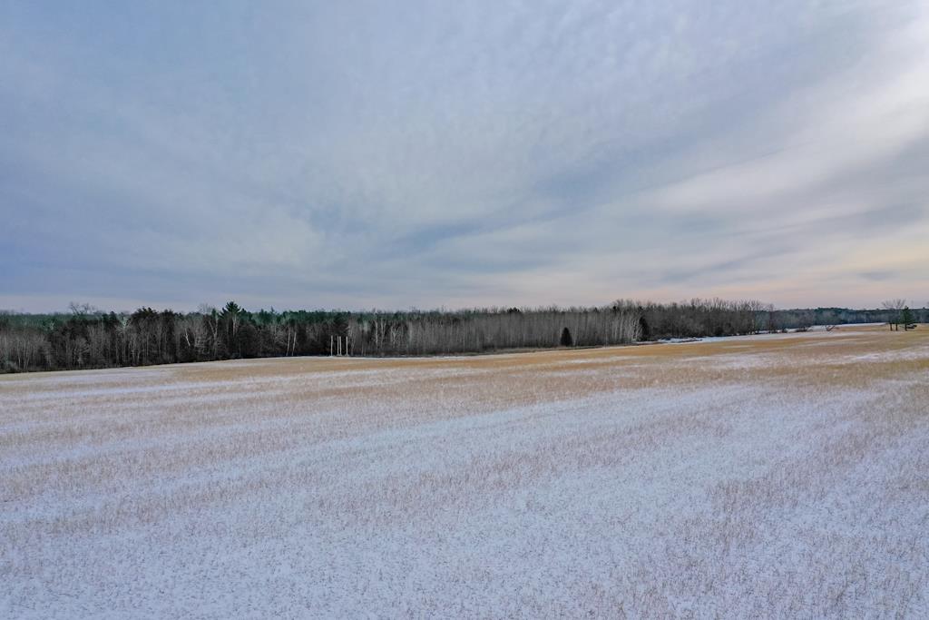 Forest Road Sturgeon Bay, WI 54235 - Photo 1 of 6