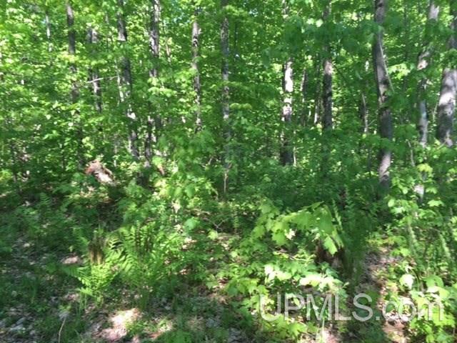 Tbd Blue Road, Unit 211 Pelkie, MI 49958 - Photo 9 of 9