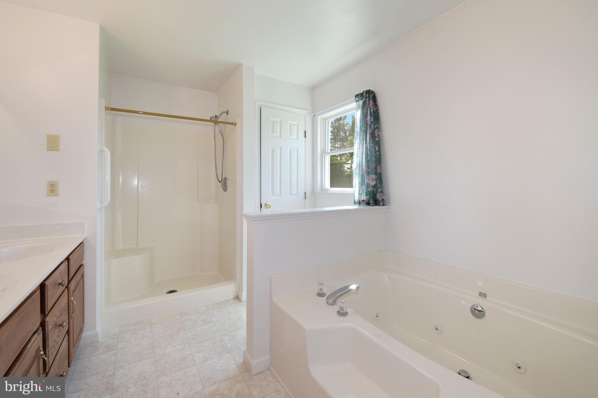 16920 Bullfrog Road Taneytown, MD 21787 - Photo 22 of 37 Primary Bath