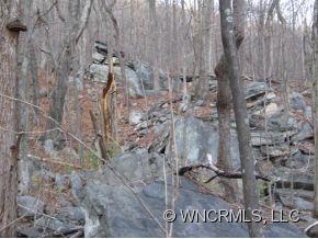 3456 Coopers Gap Road Mill Spring, NC 28756 - Photo 14 of 14