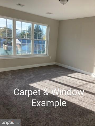 0 Woodland Road Spring Grove, PA 17362 - Photo 14 of 17 Carpet/Window Example
