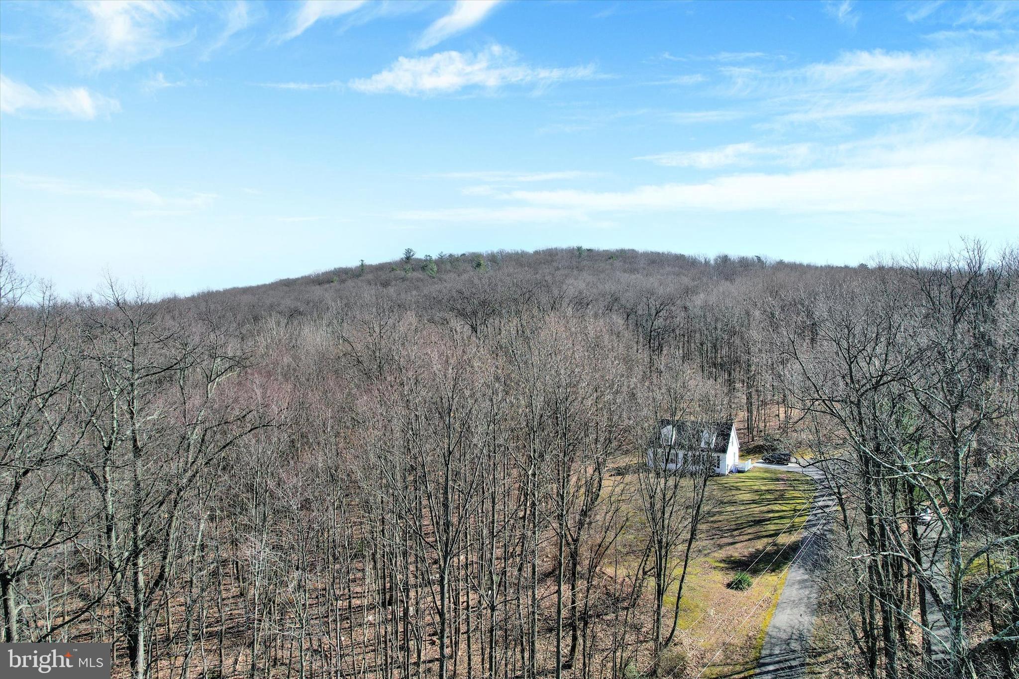 0 Woodland Road Spring Grove, PA 17362 - Photo 4 of 17