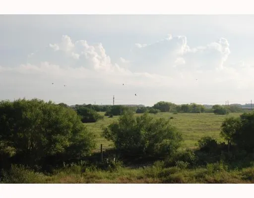 $1,550 | 7534 Star Harbor Drive, Corpus Christi, TX 78414