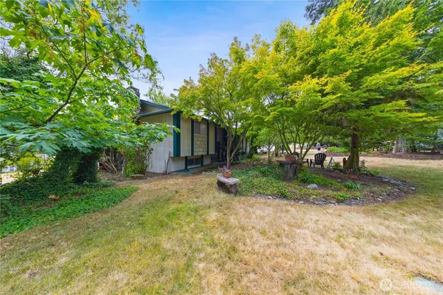a view of a tennis ground with large trees