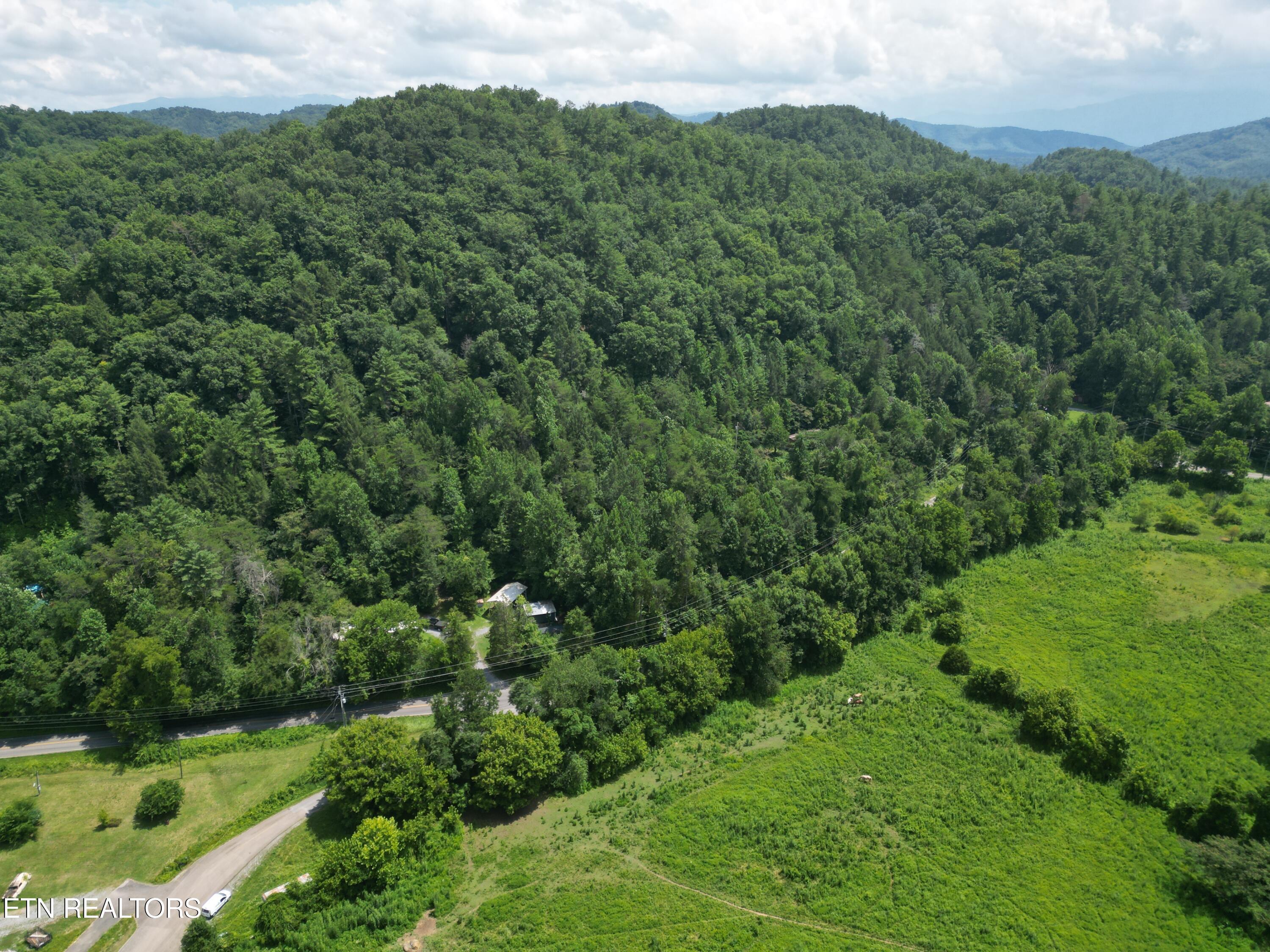 3576 Wilhite Road Pigeon Forge, TN 37876 - Photo 5 of 13 Wilhite 4
