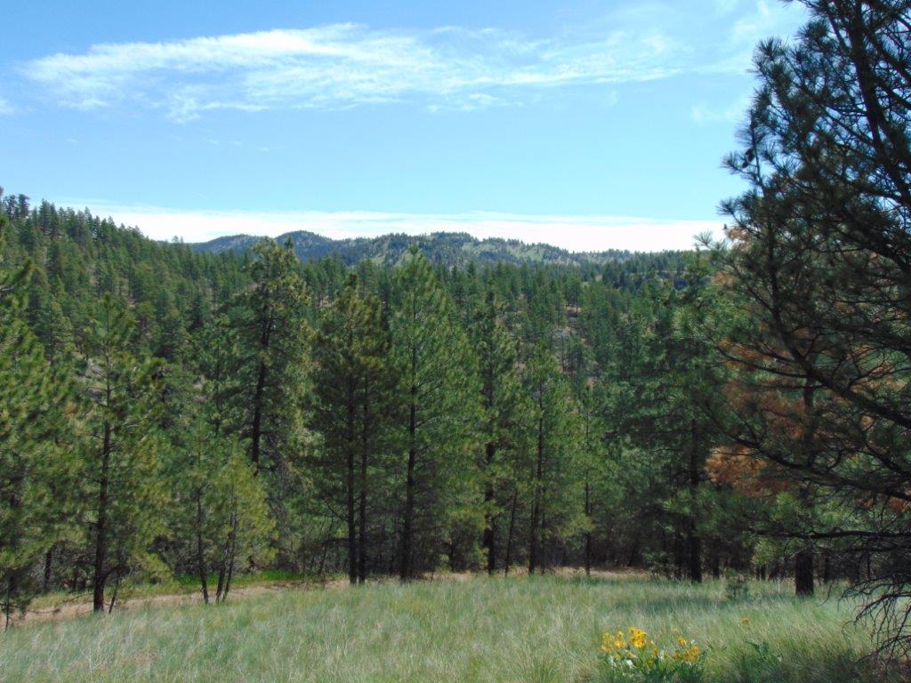 19 Lookout Lane Cascade, MT 59421 - Photo 1 of 30 Gallery Image 1