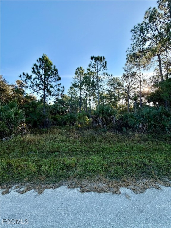 855 South Isora Street Clewiston, FL 33440 - Photo 1 of 4 a view of a field with trees in background