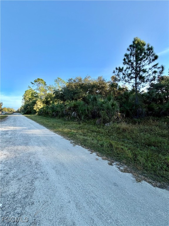 855 South Isora Street Clewiston, FL 33440 - Photo 4 of 4 a view of a field with plants and trees