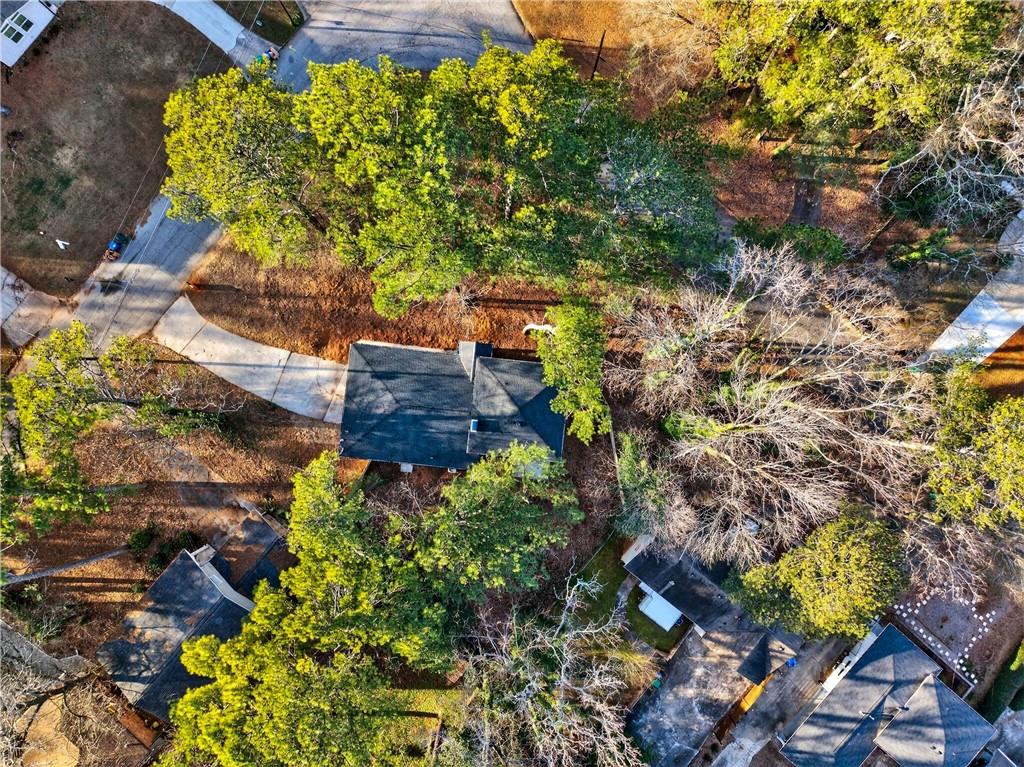 2497 Glenrock Drive Decatur, GA 30032 - Photo 39 of 42 a plant that is in a garden