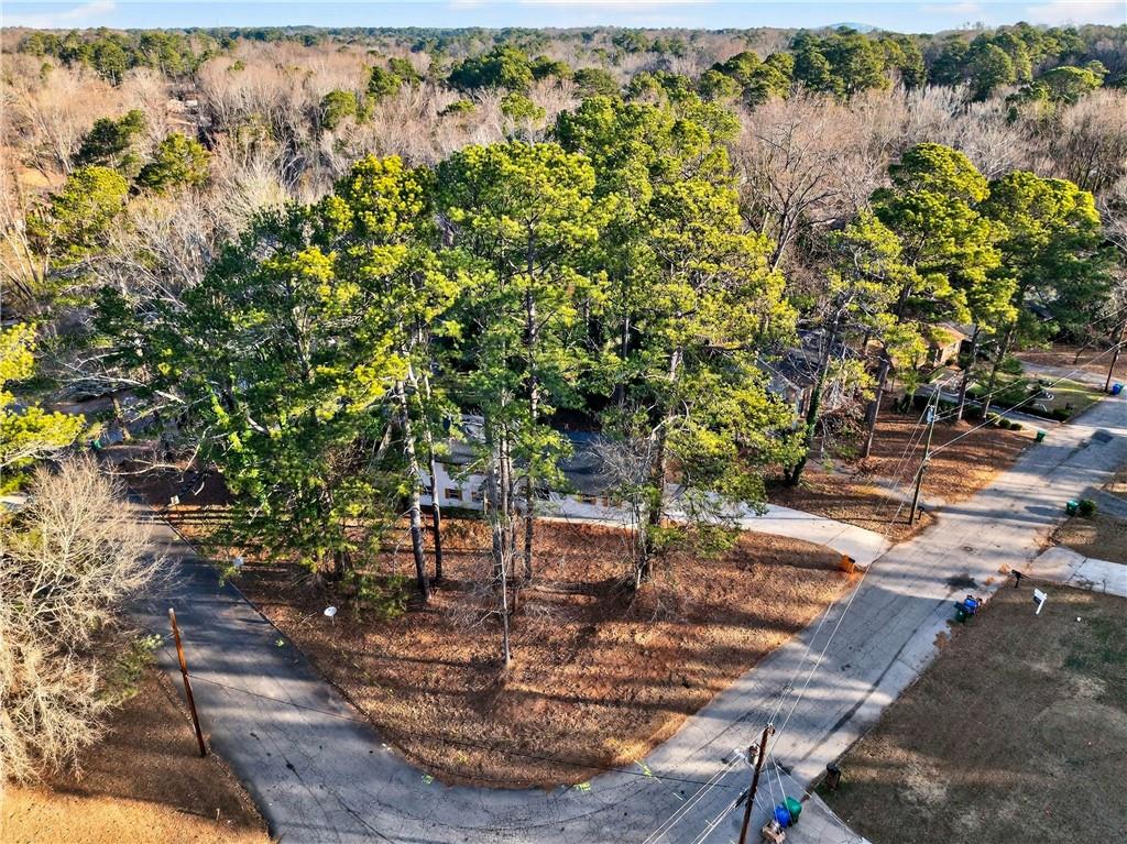 2497 Glenrock Drive Decatur, GA 30032 - Photo 40 of 42 a view of a yard