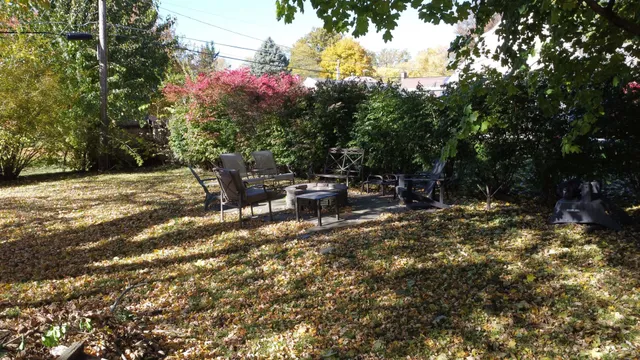 a view of a outdoor space with a tree