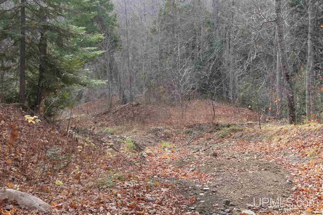 Tbd Tbd Off Mandan Loop Road Mohawk, MI 49950 - Photo 35 of 42
