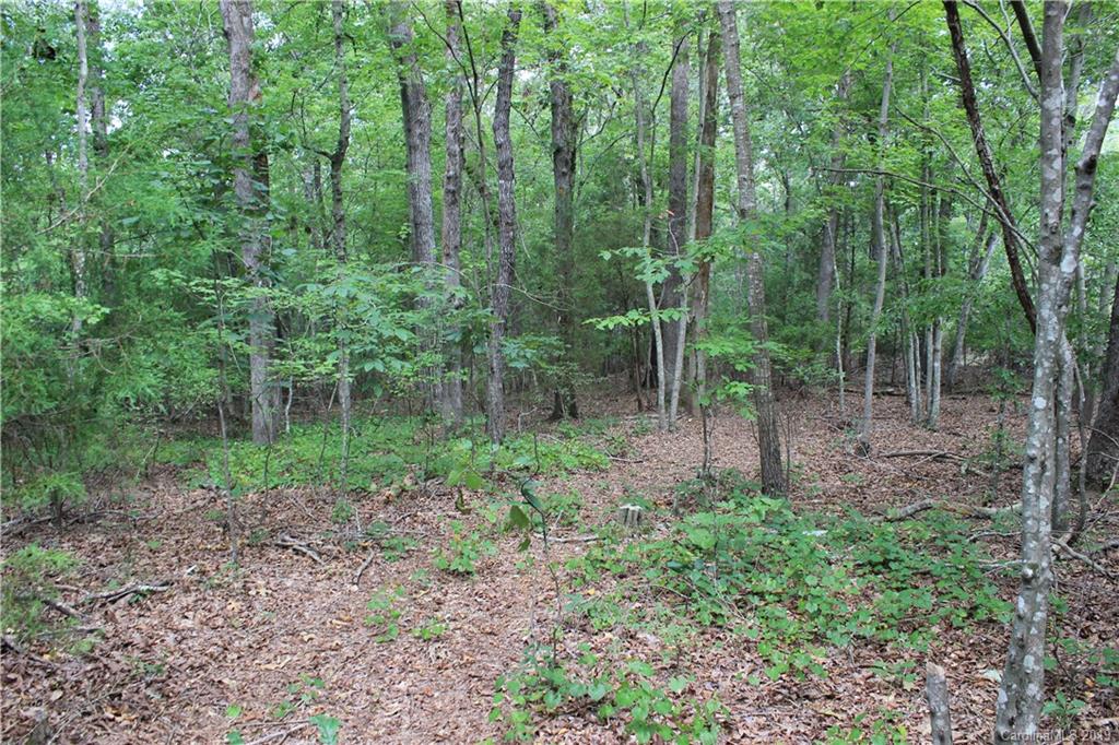7925 St Timothy Road Marshville, NC 28103 - Photo 4 of 14