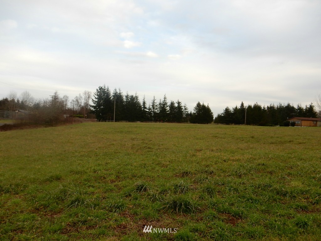 -xxx Xxx Cemetery Road Winlock, WA 98596 - Photo 1 of 3