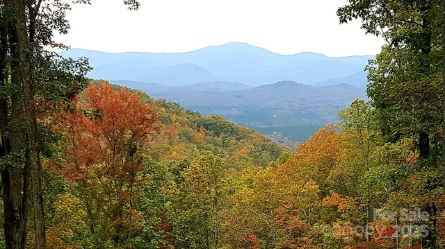 a view of a mountain