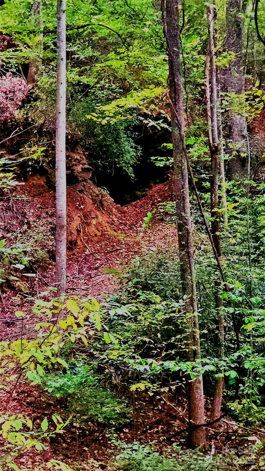 0 Shoal Ridge Union Mills, Unit 2 Union Mills, NC 28167 - Photo 4 of 14 a view of a garden with a tree