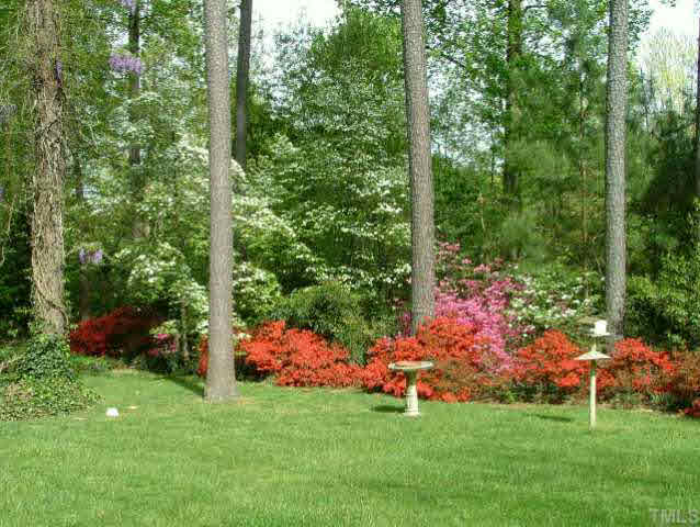 6900 Buckhead Drive Raleigh, NC 27615 - Photo 10 of 10 a view of a lush green space