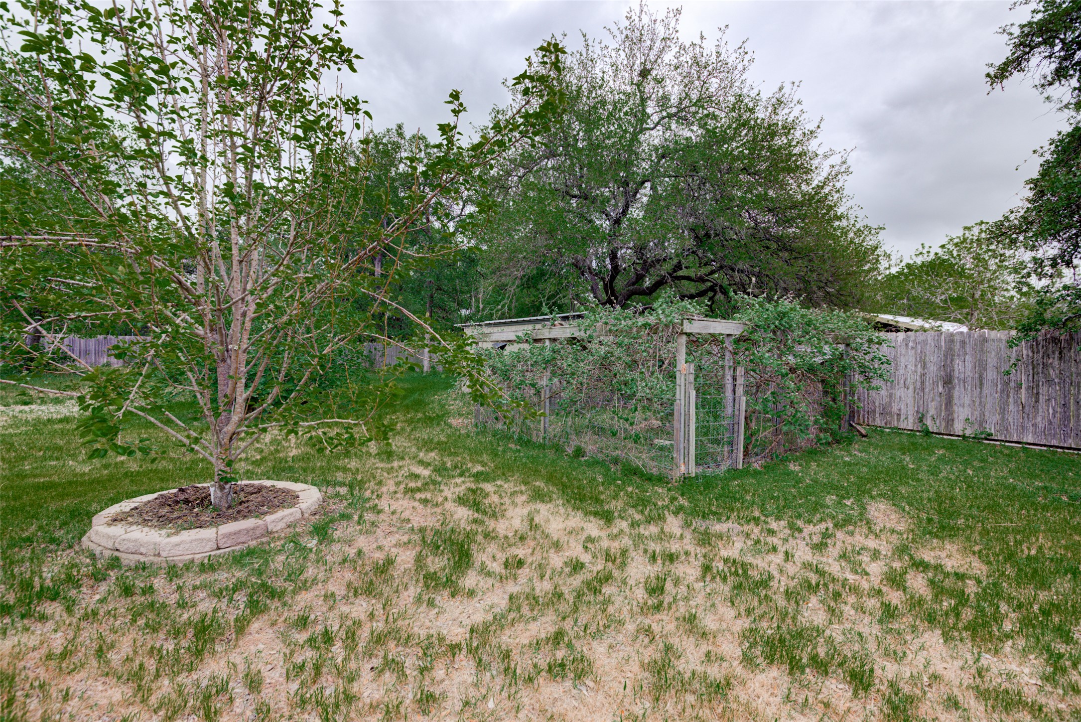 500 Buckaroo Trail Buda, TX 78610 - Photo 29 of 40