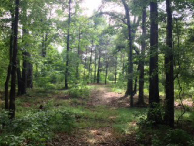 .... North Greensburg Road Summit, MS 39666 - Photo 1 of 1 Main View