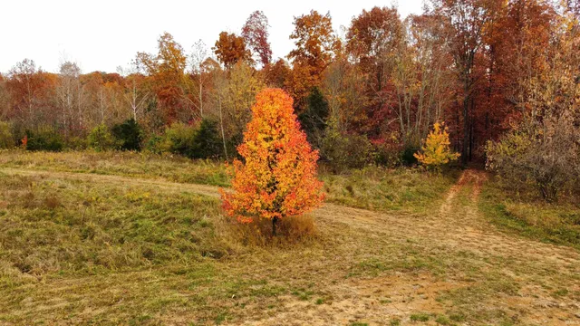 $2,999,000 | 3324 Patrick Robbins Way, Bedford, IN 47421