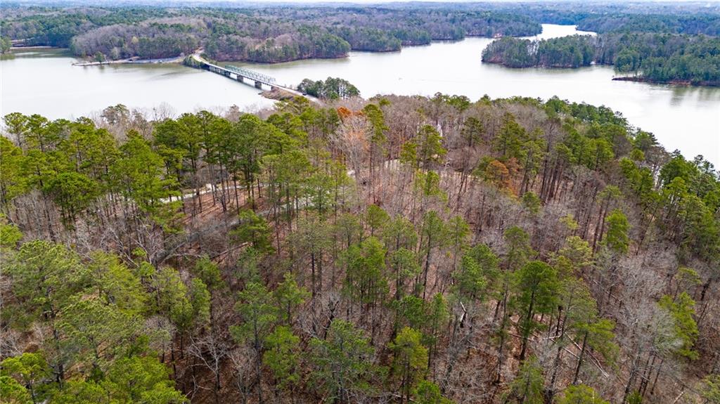 0 Red Top Mountain Road Southeast Cartersville, GA 30121 - Photo 4 of 15 Gallery Image 4