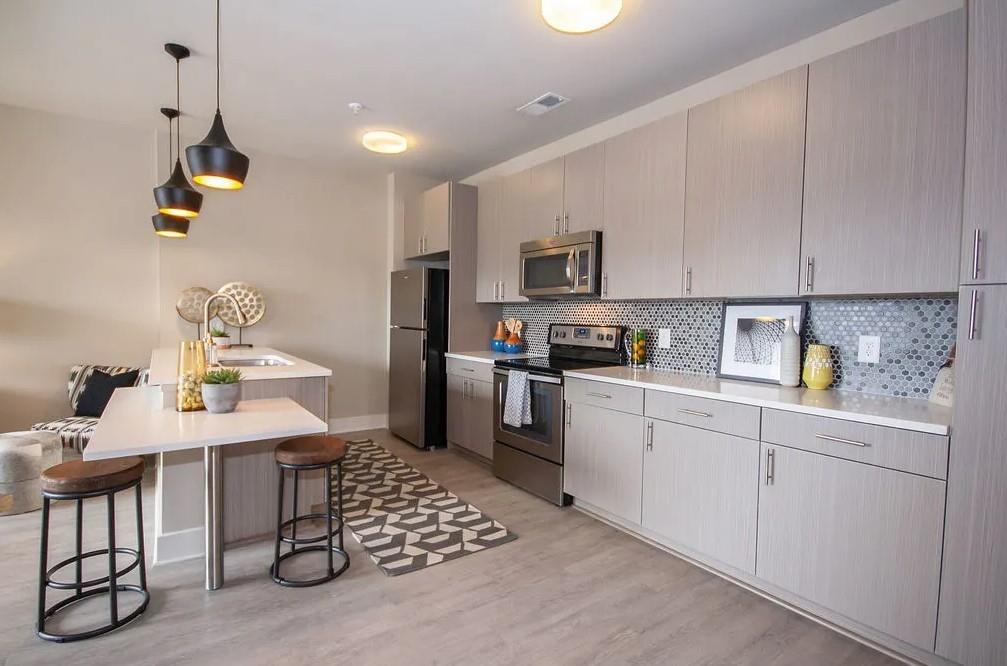 245 East Trinity Place, Unit 1154 Decatur, GA 30030 - Photo 4 of 25