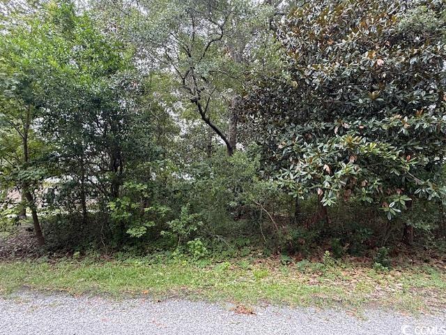 3587 Adam Court Murrells Inlet, SC 29576 - Photo 3 of 9 View of undeveloped land