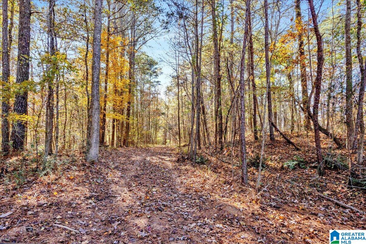0 Hammock Road Trussville, AL 35173 - Photo 26 of 31