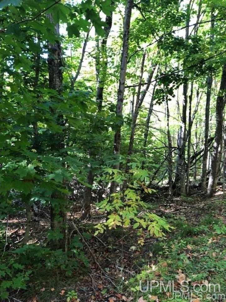 Tbd Koski Road Munising, MI 49862 - Photo 13 of 17