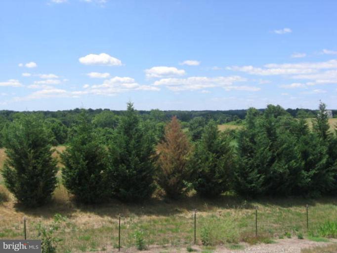 1030 Pond Neck Road Earleville, MD 21919 - Photo 11 of 13 Unique #1