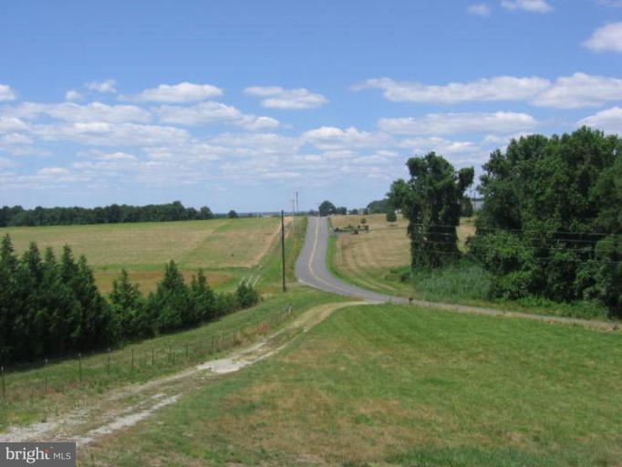 1030 Pond Neck Road Earleville, MD 21919 - Photo 10 of 13 View from Unit