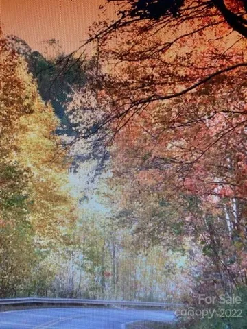 $14,900 | 0 Trillium Lane, Mars Hill, NC 28754