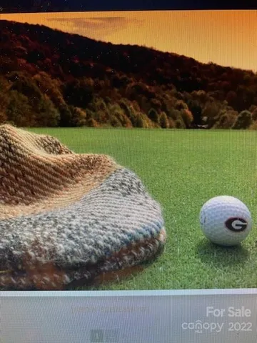 $14,900 | 0 Trillium Lane, Mars Hill, NC 28754