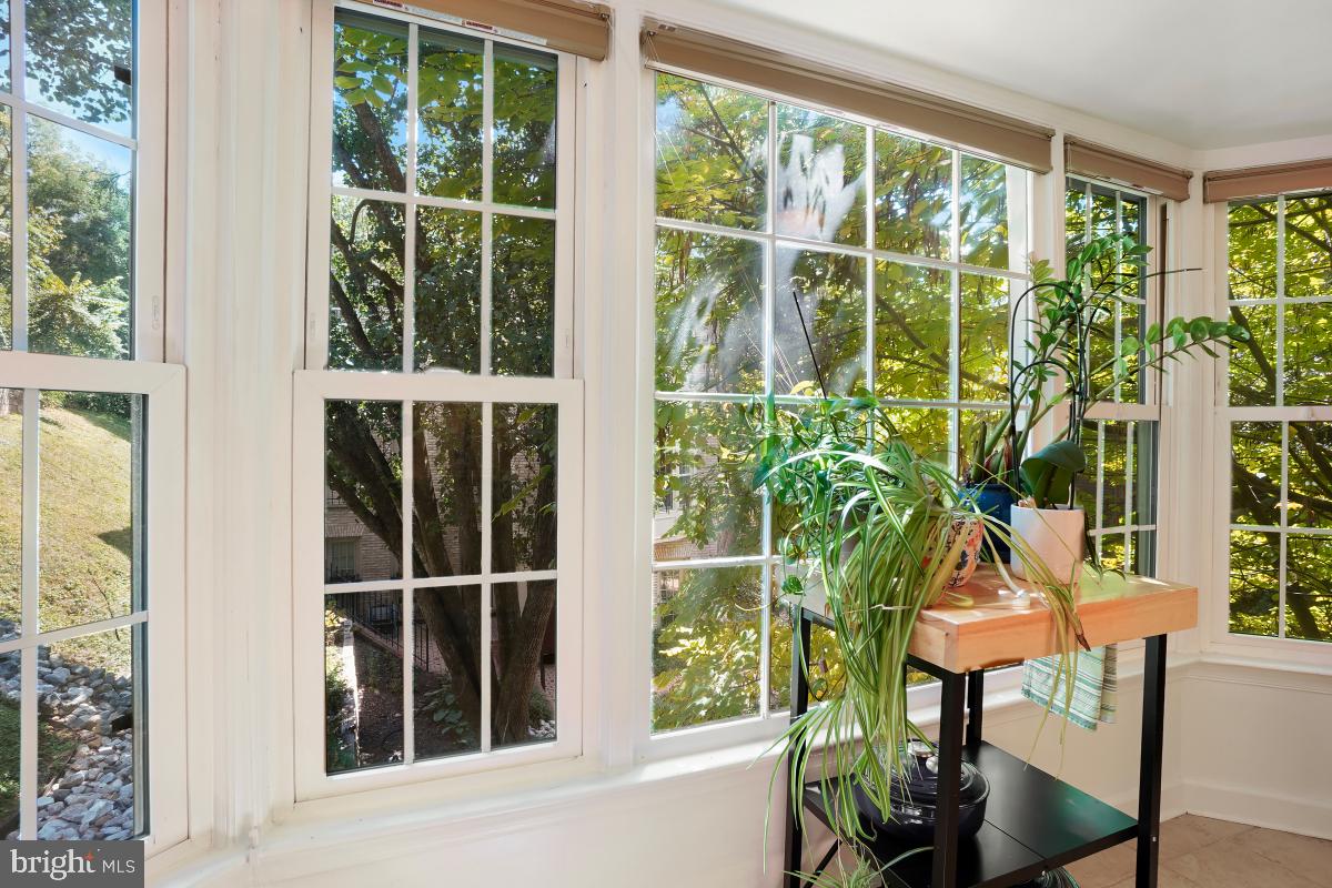 4607 MacArthur Boulevard Northwest, Unit B Washington, DC 20007 - Photo 18 of 34