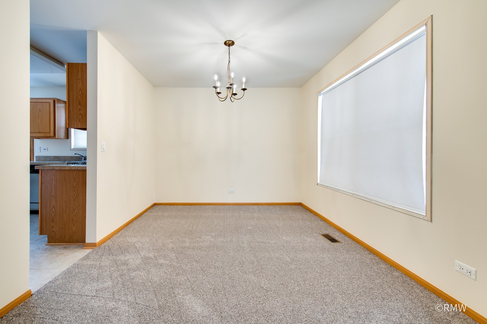 443 Seneca Lane Bolingbrook, IL 60440 - Photo 6 of 23