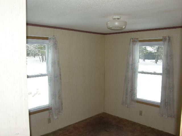 1919 South Forman Road Baldwin, MI 49304 - Photo 11 of 23 Additional Photo