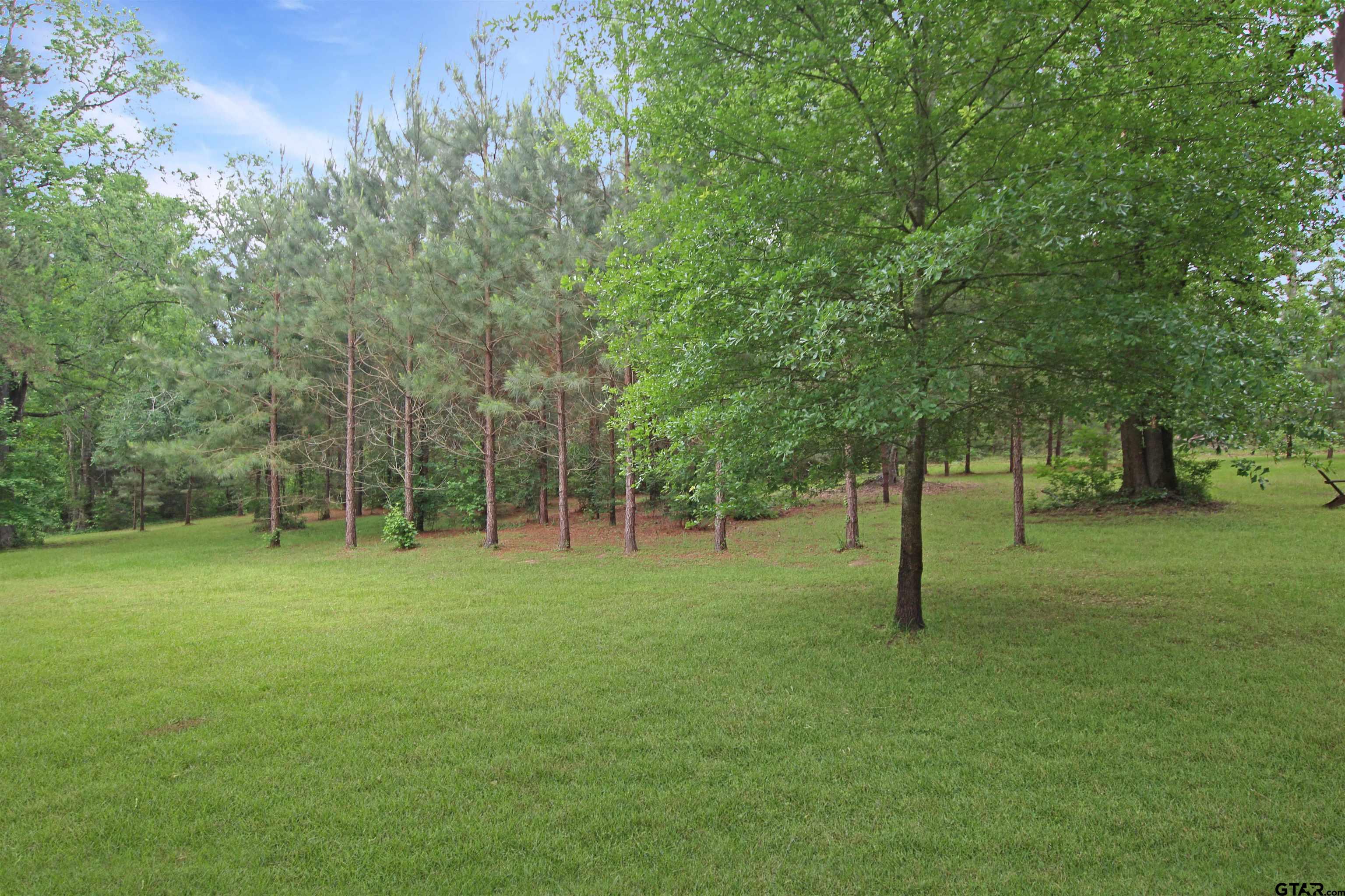 782 Rosie Wady Road Gladewater, TX 75647 - Photo 35 of 48 a view of a tree in a park