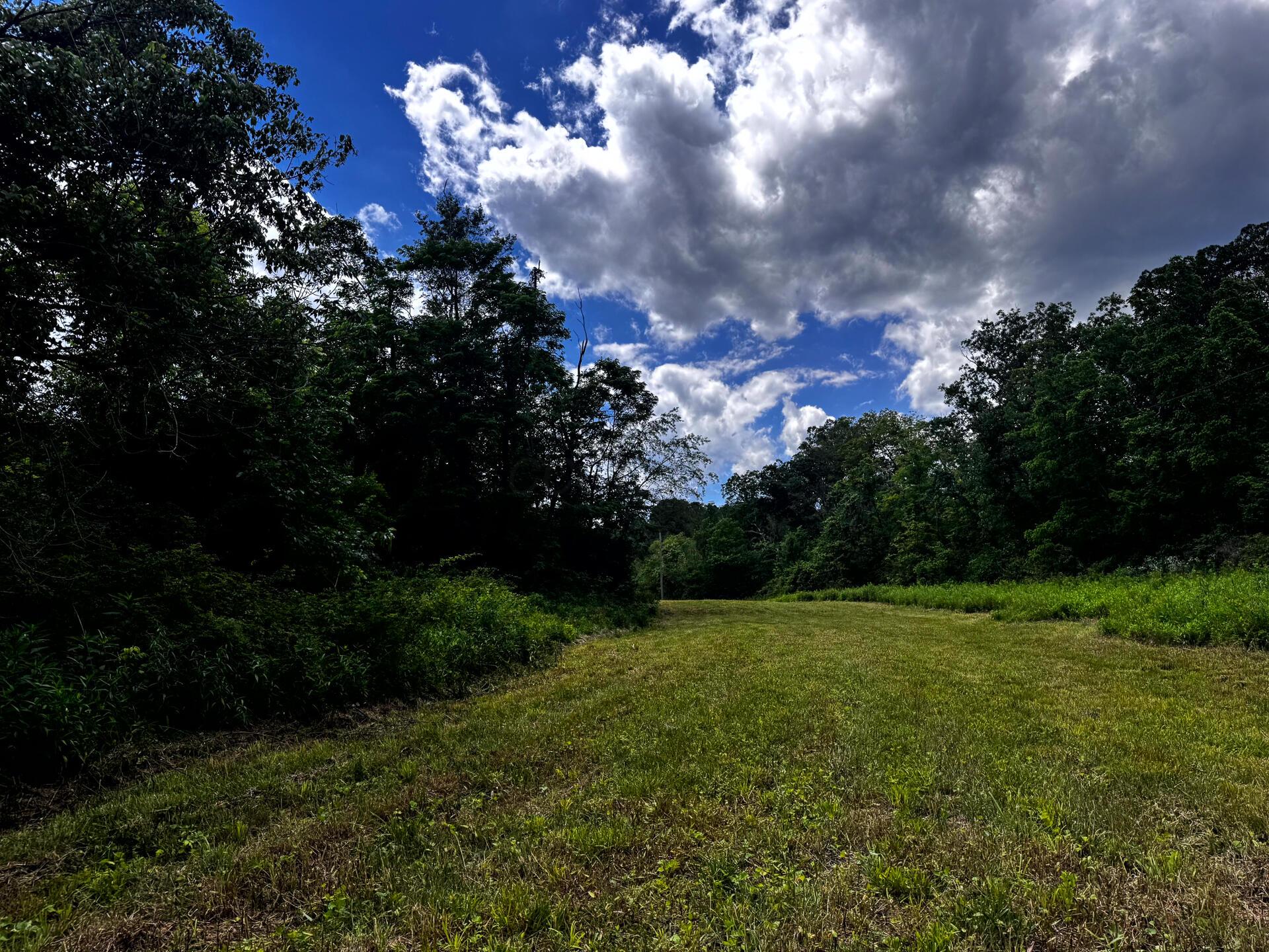 0 Barr Hollow Road Reedsville, OH 45772 - Photo 9 of 15 CT-9