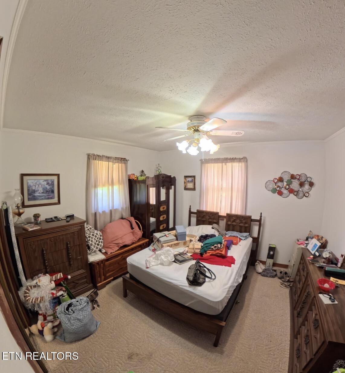 156 Easy Street Newport, TN 37821 - Photo 7 of 16 IMG_0723