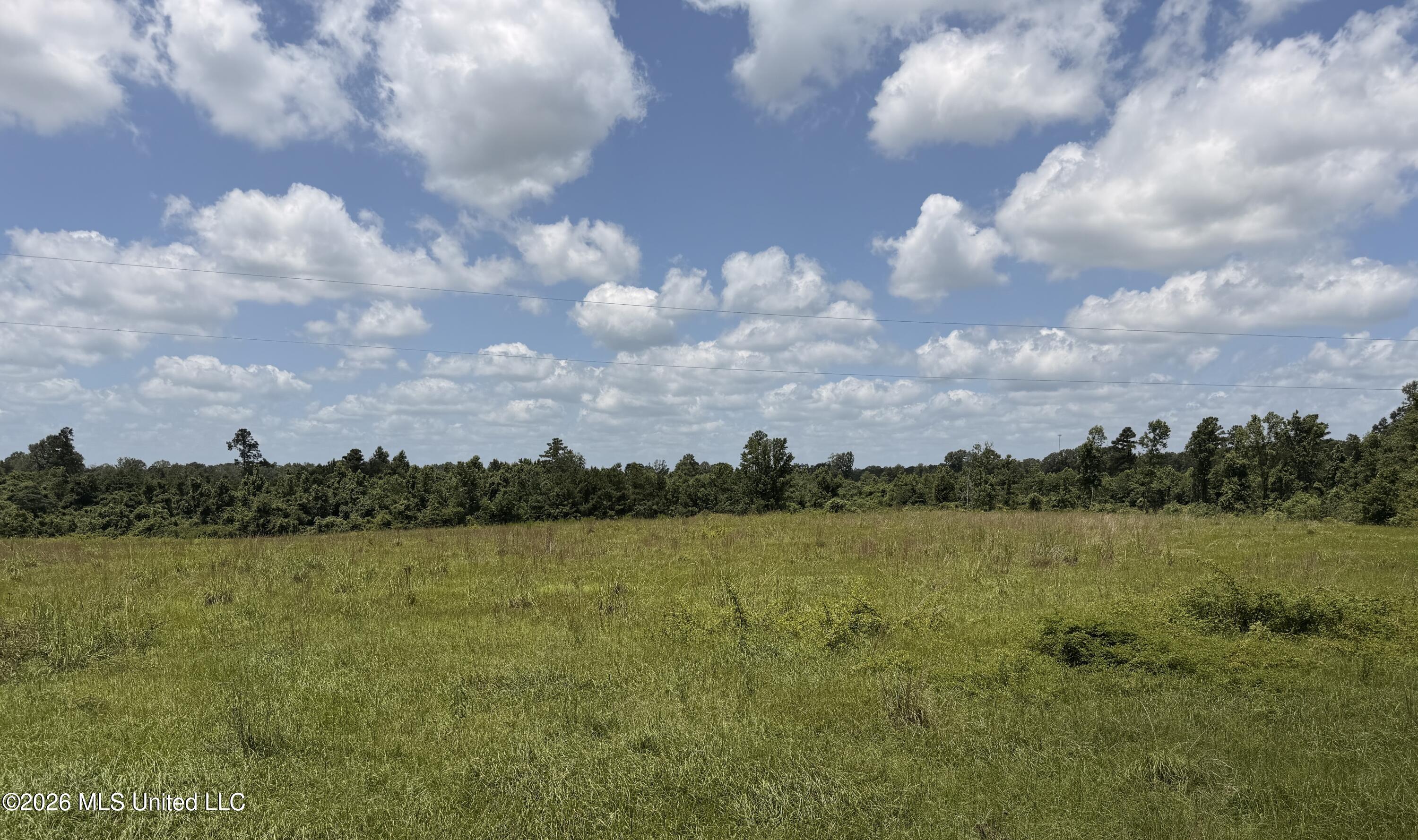 Progress School Road Road Osyka, MS 39657 - Photo 2 of 4 IMG_5499