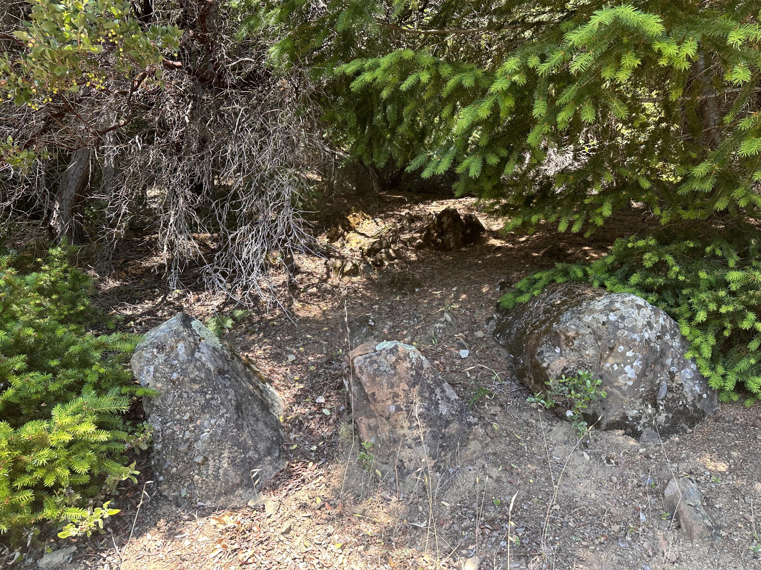 950 Powell Crk Road Garberville, CA 95542 - Photo 29 of 78