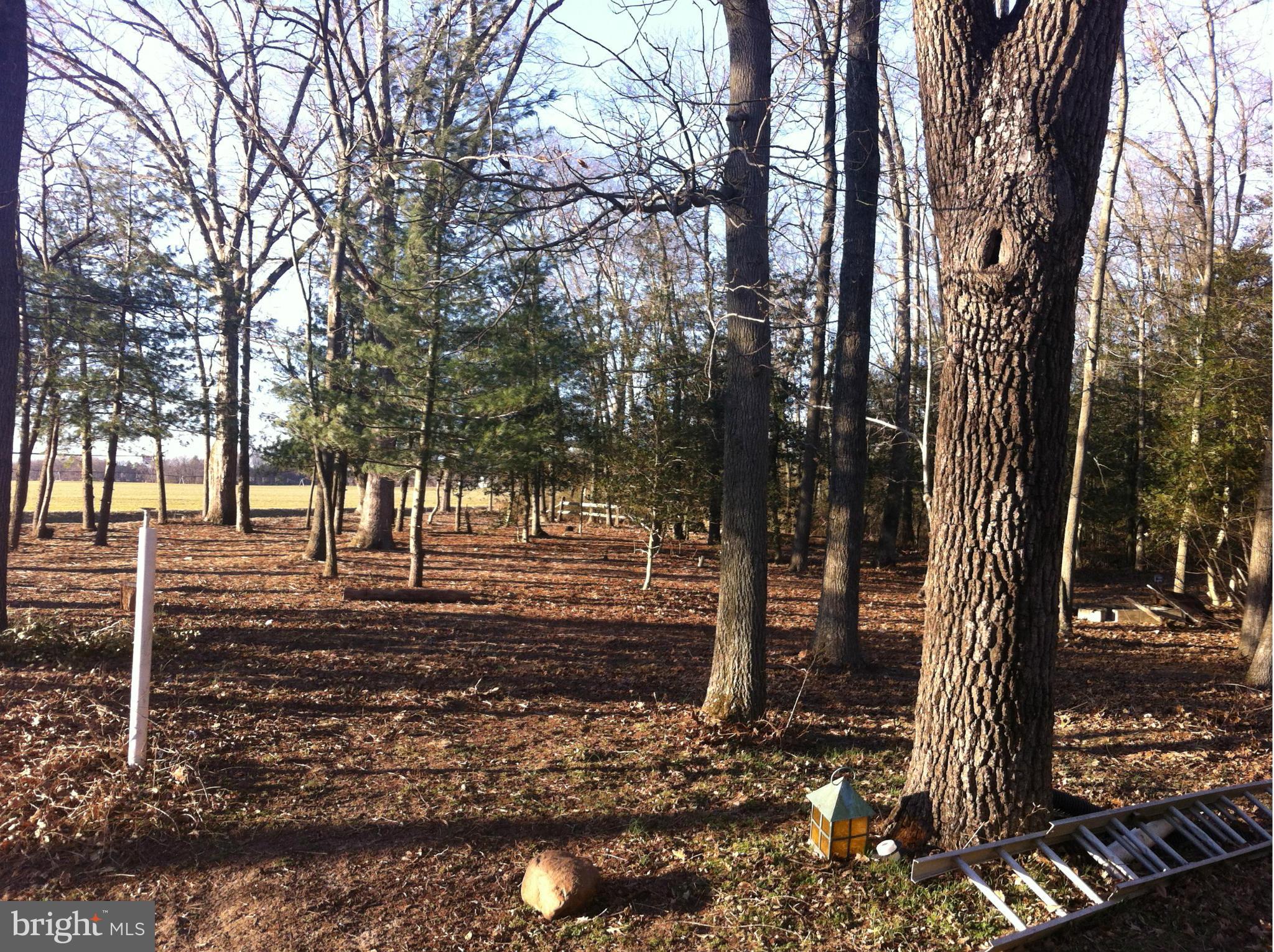 11475 River Road Ridgely, MD 21660 - Photo 5 of 9 View