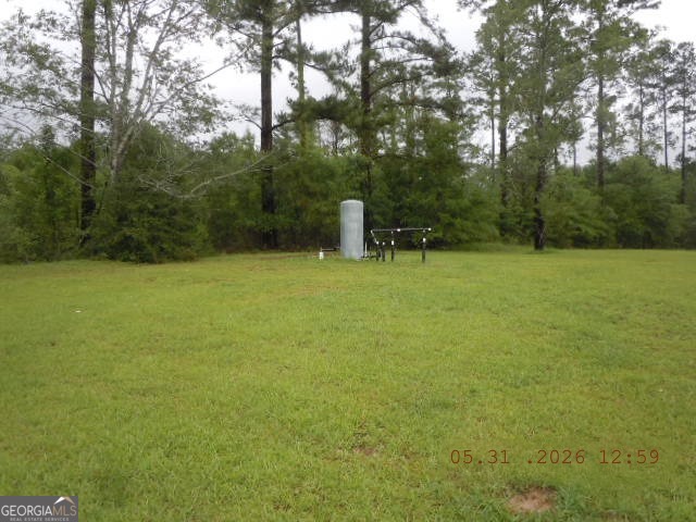 9154 Crooked Run Road Adrian, GA 31002 - Photo 18 of 18 Well on side of House