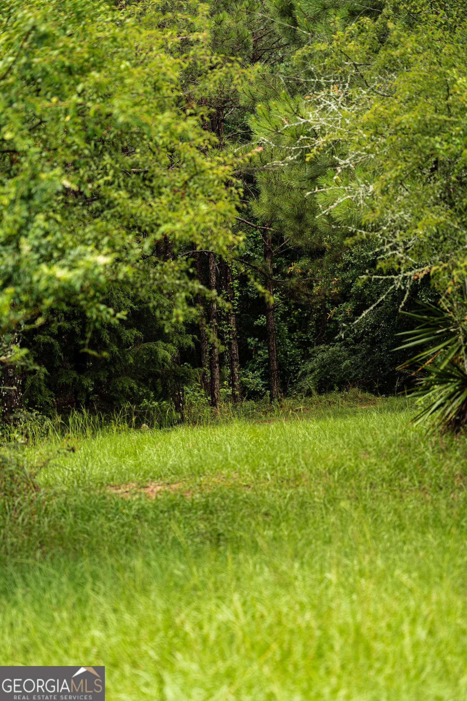 990 Highway 49 Americus, GA 31719 - Photo 52 of 121