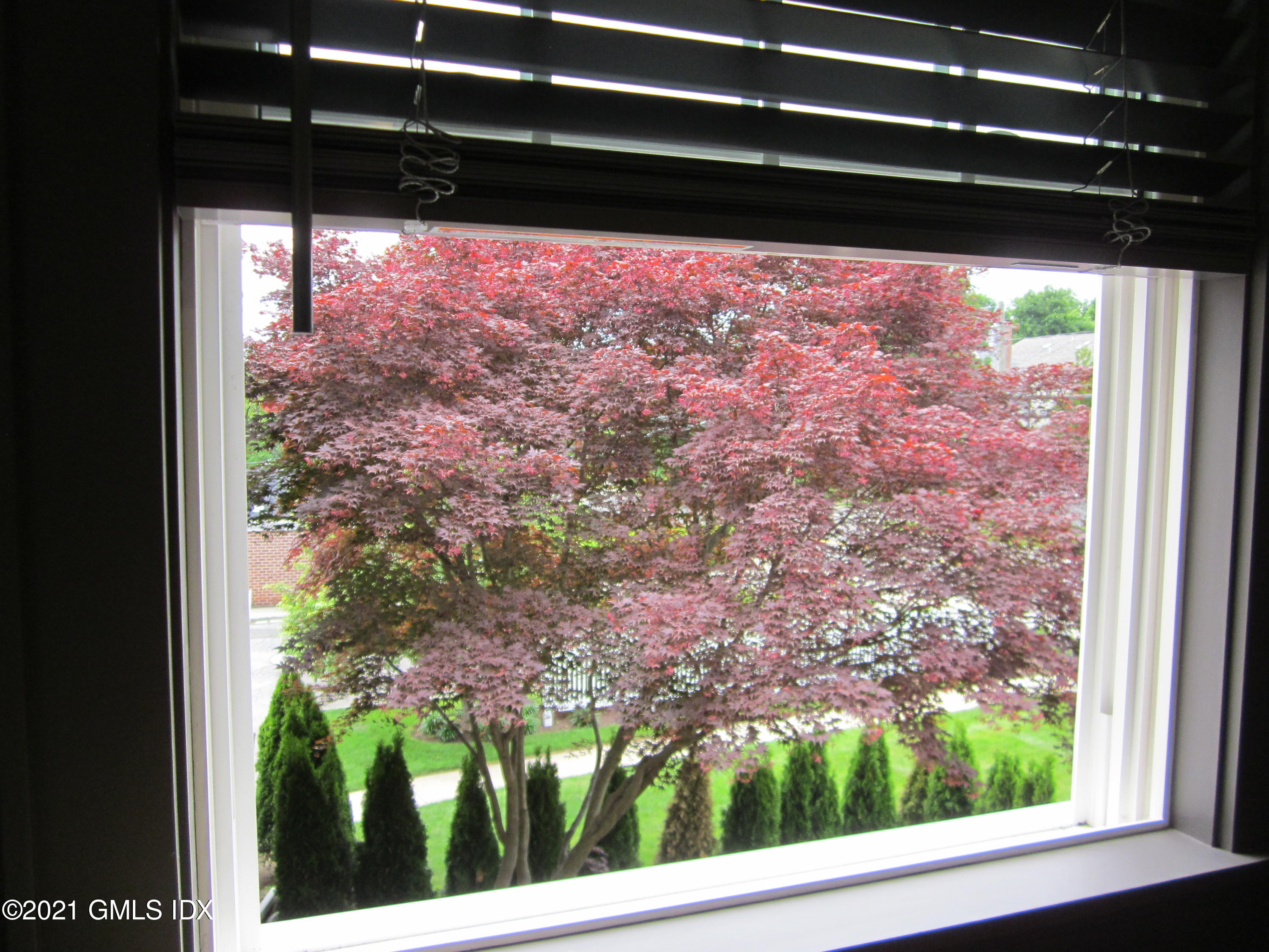 4 Putnam Park, Unit 4 Greenwich, CT 06830 - Photo 20 of 37 a view of window