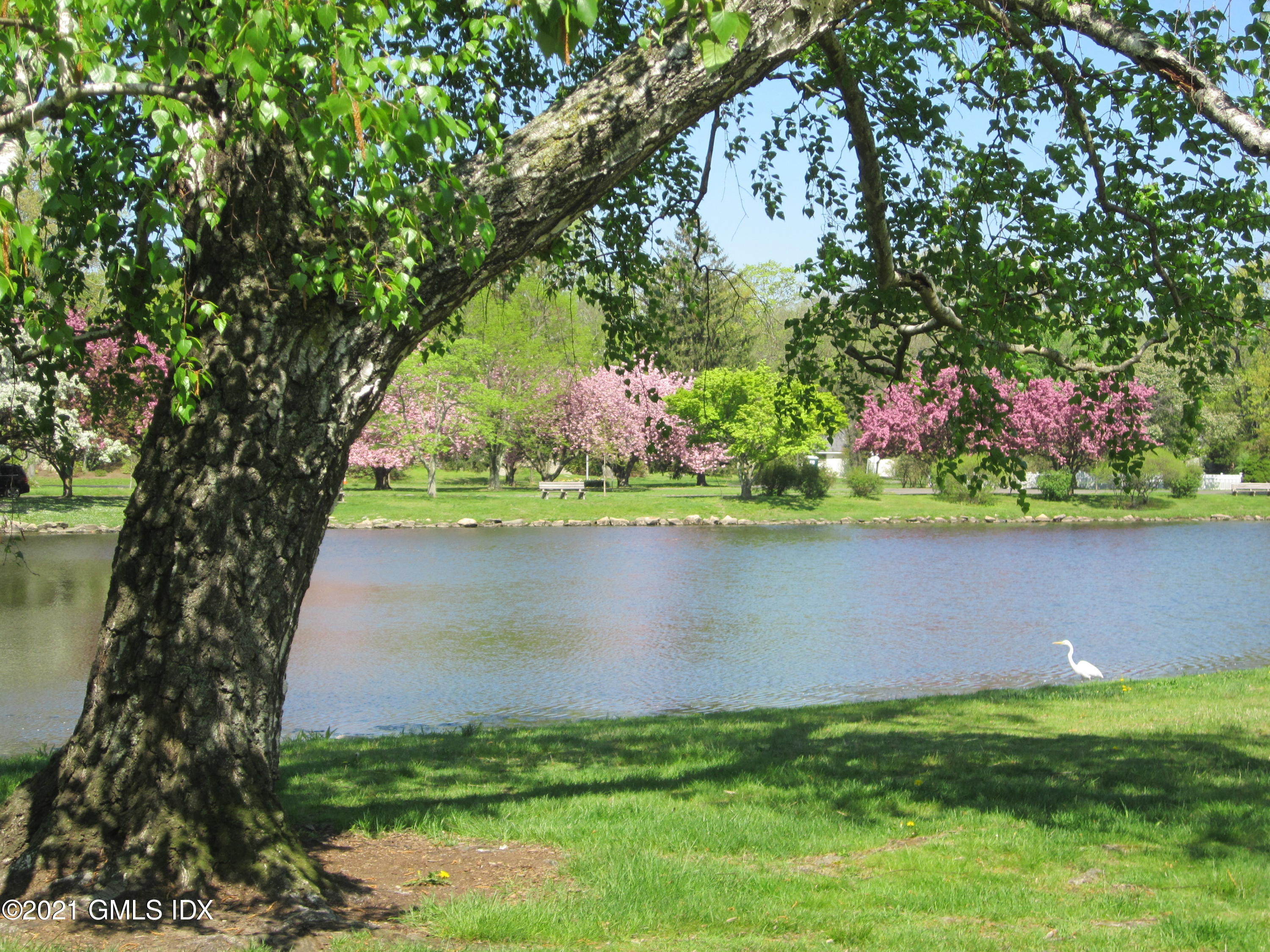 4 Putnam Park, Unit 4 Greenwich, CT 06830 - Photo 30 of 37 a view of lake from a yard